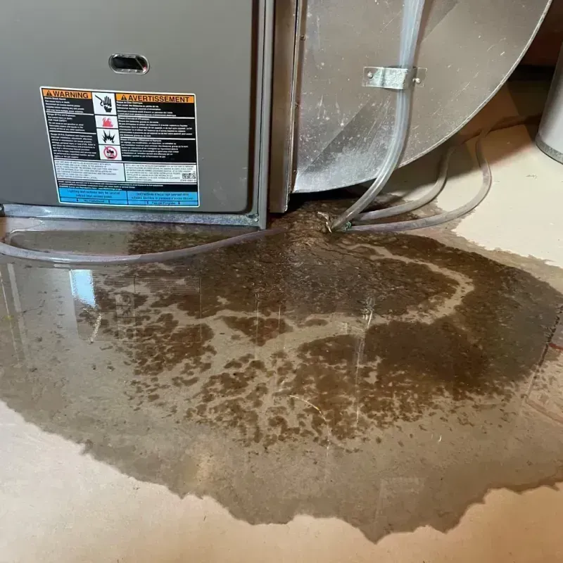 Appliance Leak Cleanup in Woodland Park, CO